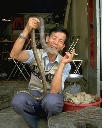 Quan'sul is Open For Business - Famous Quan'sul Snake Market